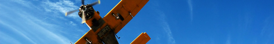 Mullumbimby Art Therapy Rotating Header Image